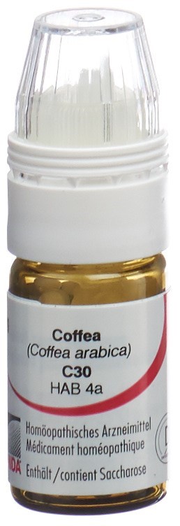 Omida coffea 30 C, image principale