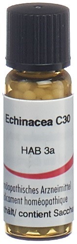 Omida echinacea 30 C, image principale