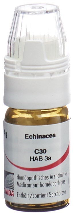 Omida echinacea 30 C, image principale