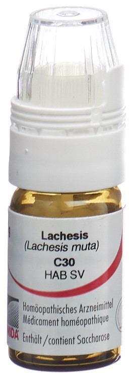 Omida lachesis 30 C, image principale