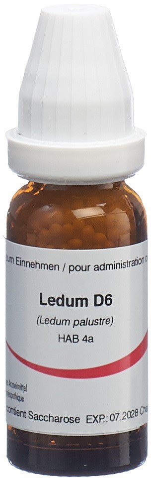 Omida ledum 6 D