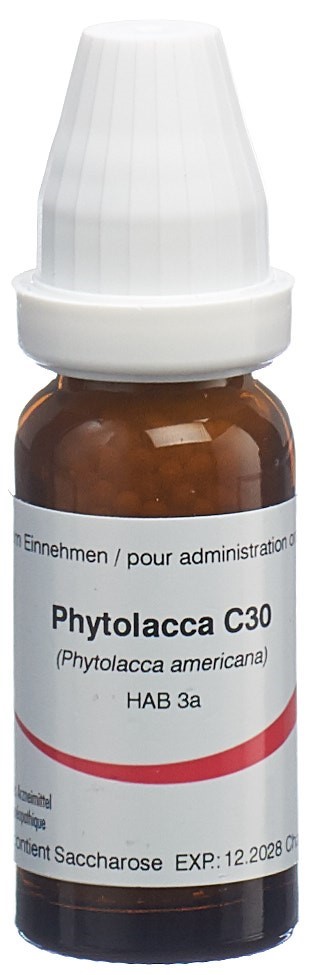 Omida phytolacca 30 C, image principale