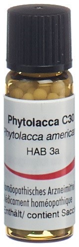 Omida phytolacca 30 C