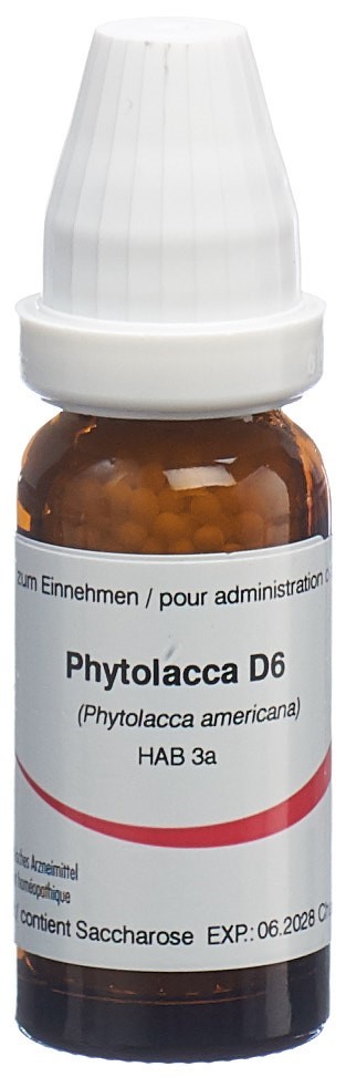 Omida Phytolacca 6 D