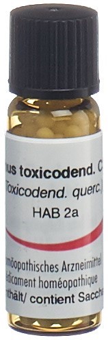 Omida Rhus toxicodendron 30 C