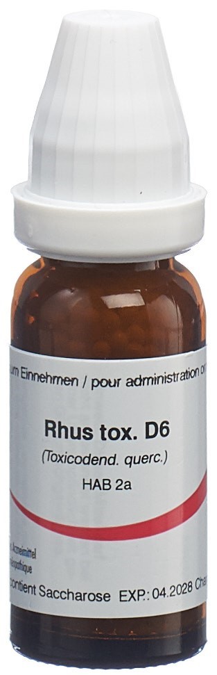 Omida Rhus toxicodendron 6 D, Hauptbild