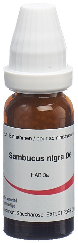 Omida Sambucus nigra 6 D