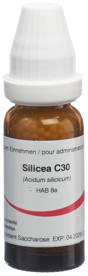 Omida silicea 30 C