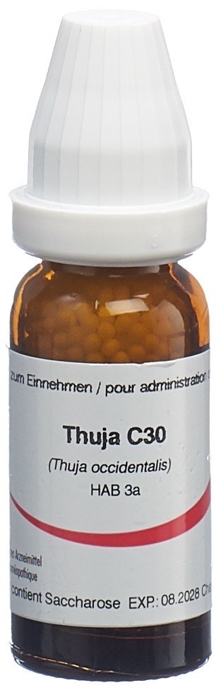 Omida thuja 30 C, image principale