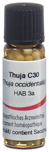 Omida Thuja 30 C, Hauptbild