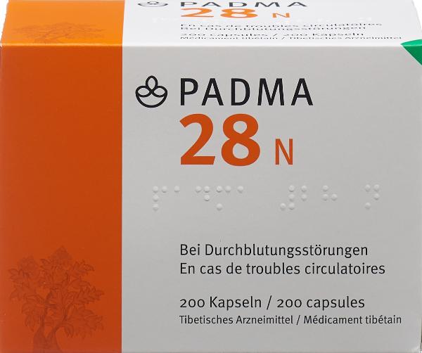 PADMA 28 N, image principale