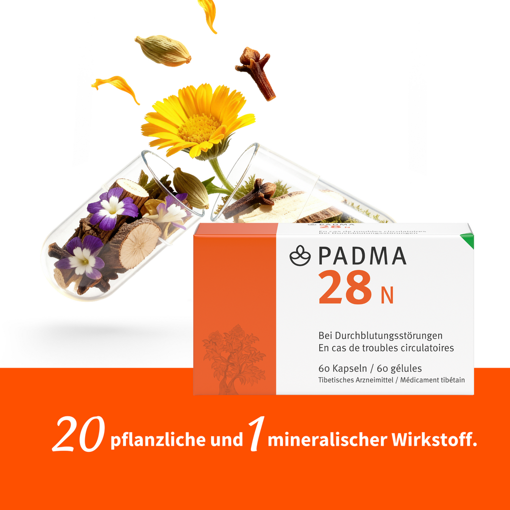 PADMA 28 N, Bild 3 von 4