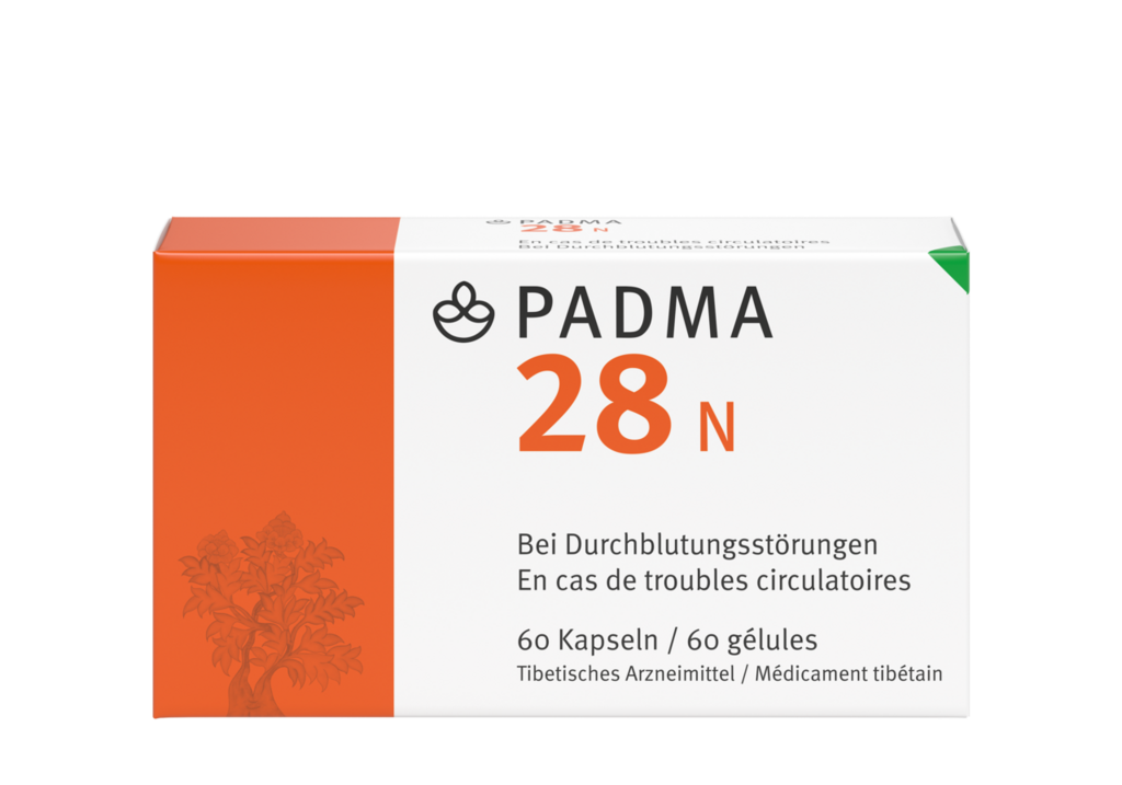 PADMA 28 N, Hauptbild