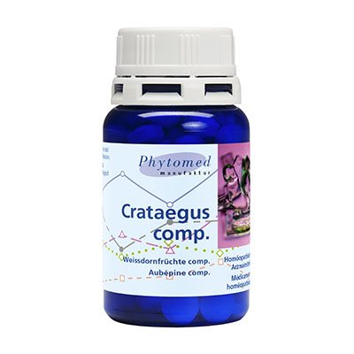 , immagine principale