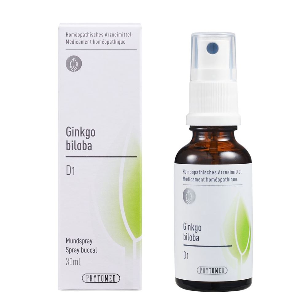 PHYTOMED Ginkgo biloba 1 D, Hauptbild