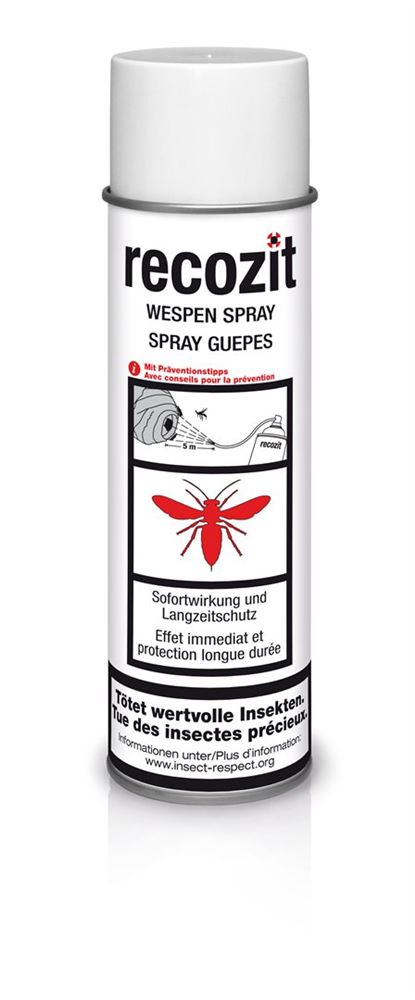 RECOZIT Wespen, Hauptbild RECOZIT Wespen, Hauptbild