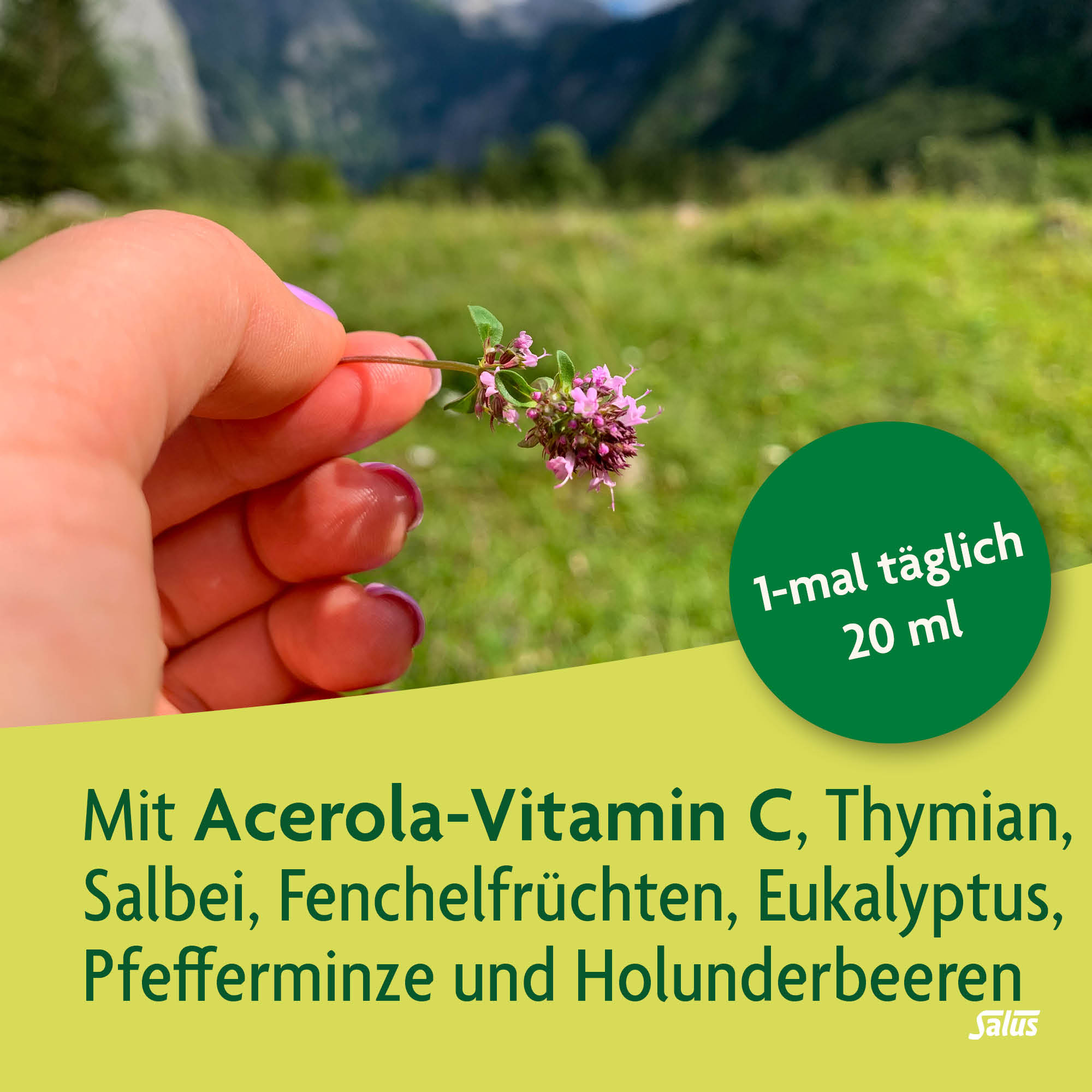 SALUS Alpenkraft Bio-Immun-Tonikum, Bild 3 von 5