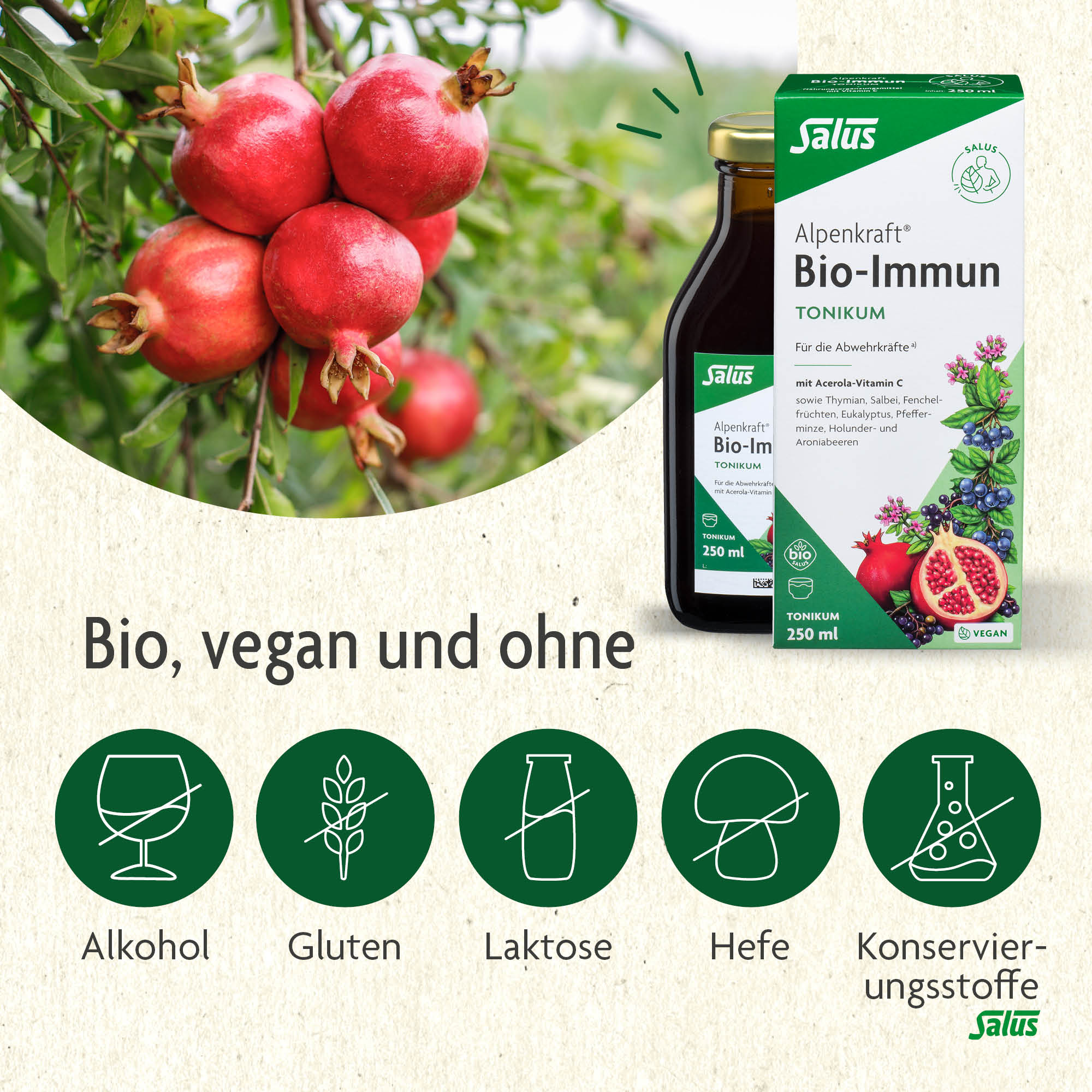 SALUS Alpenkraft Bio-Immun-Tonikum, Bild 4 von 5