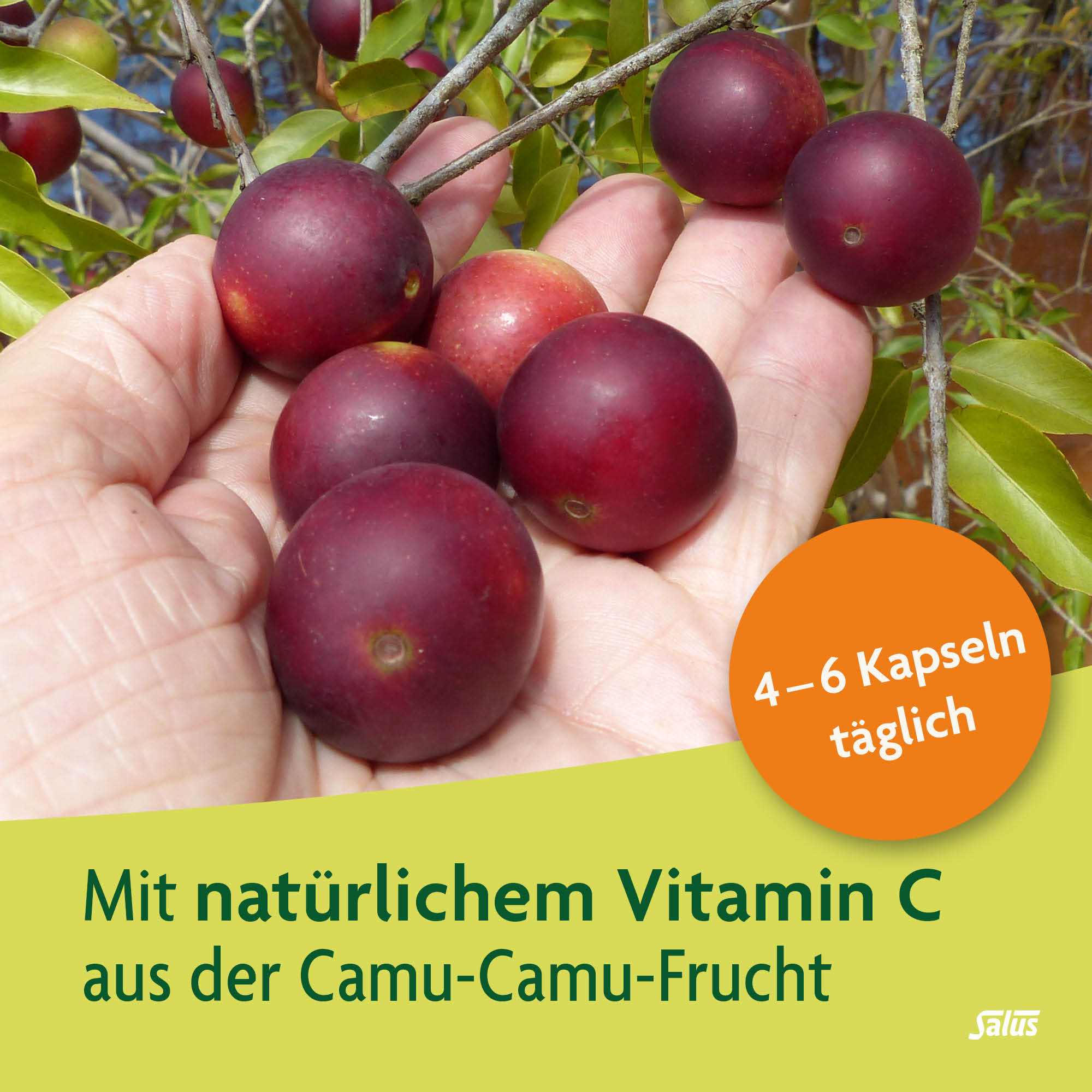 , immagine 3 di 5