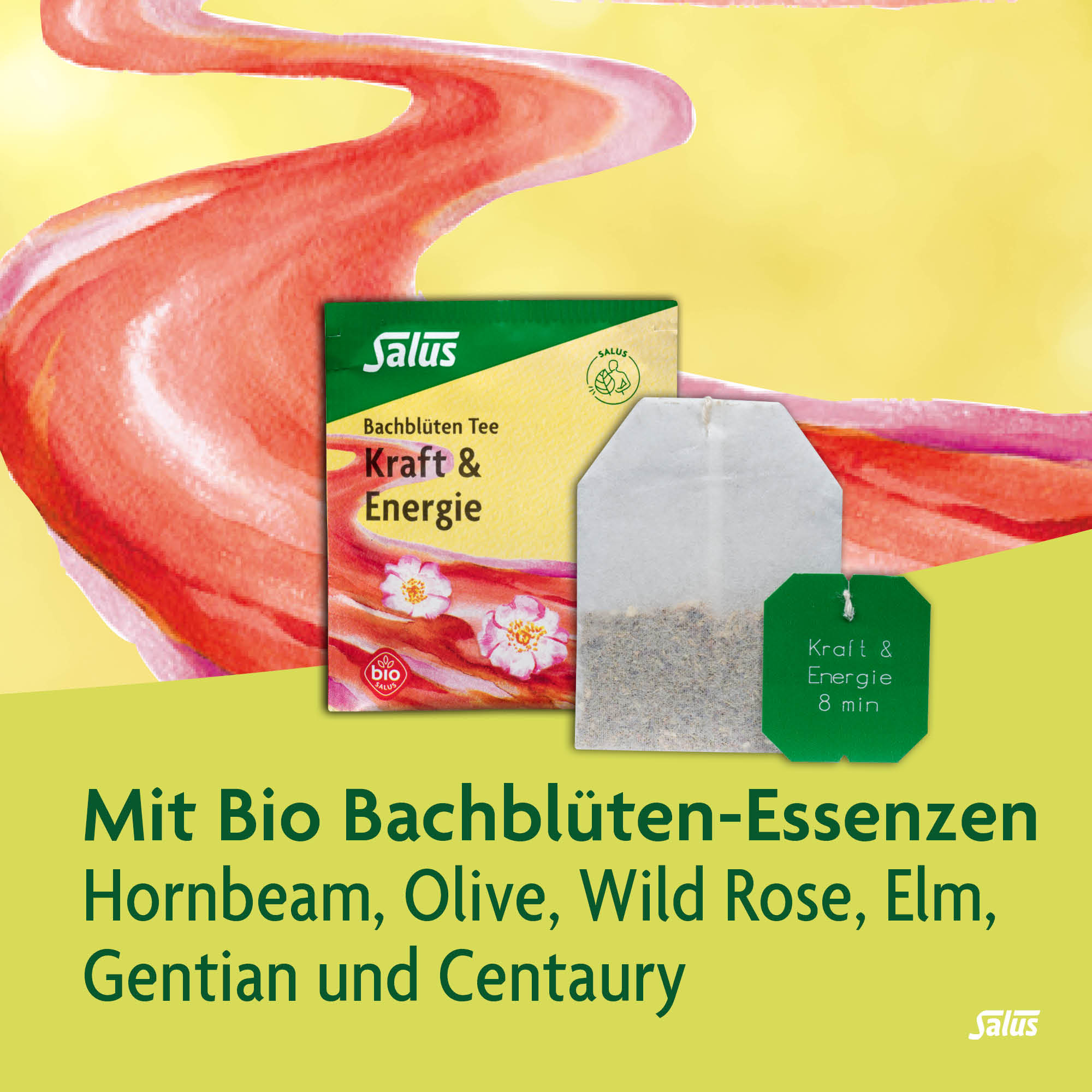 SALUS Bachblüten Tee Kraft & Energie, Bild 3 von 5