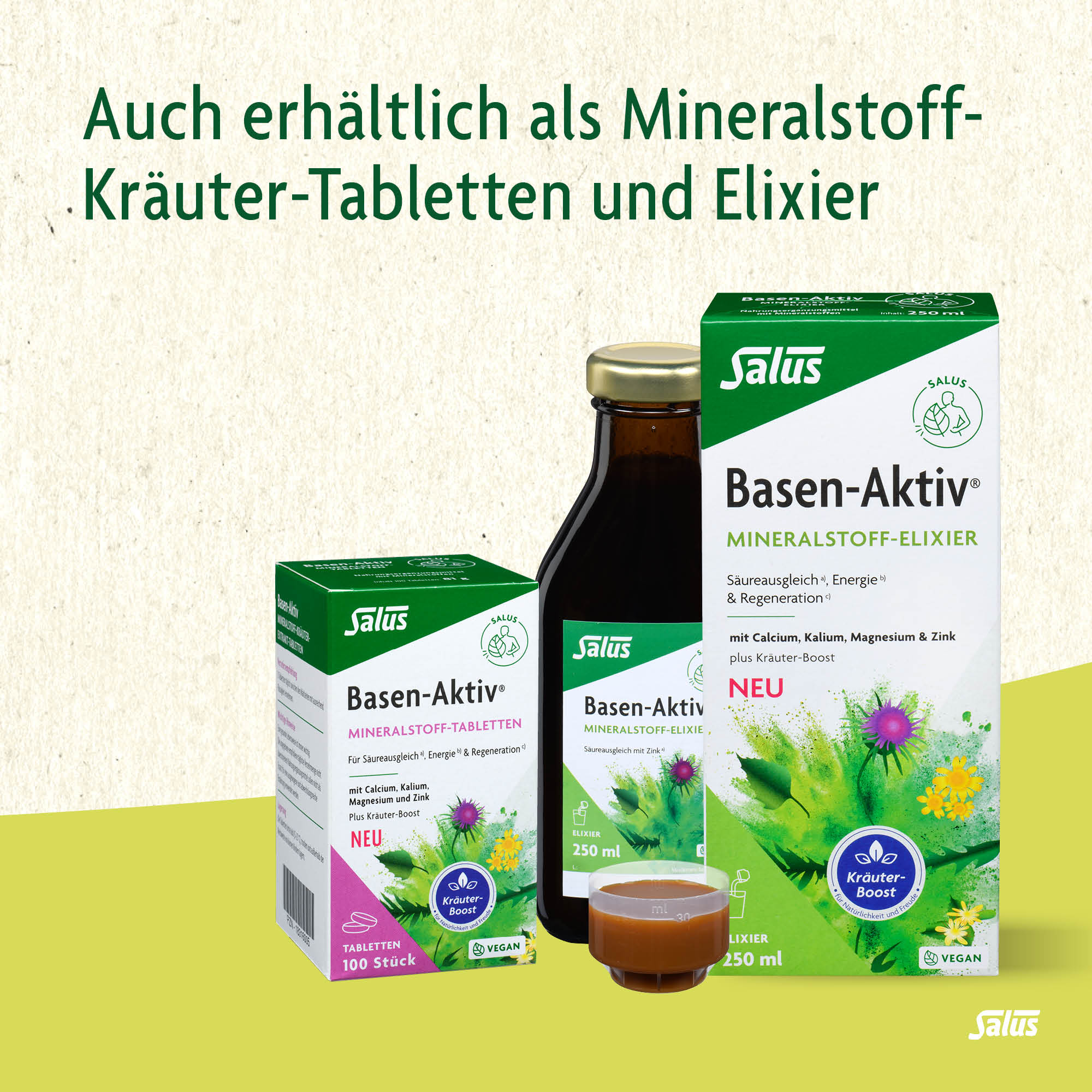 SALUS Basen-Aktiv Kräutertee Nr 1, Bild 4 von 5