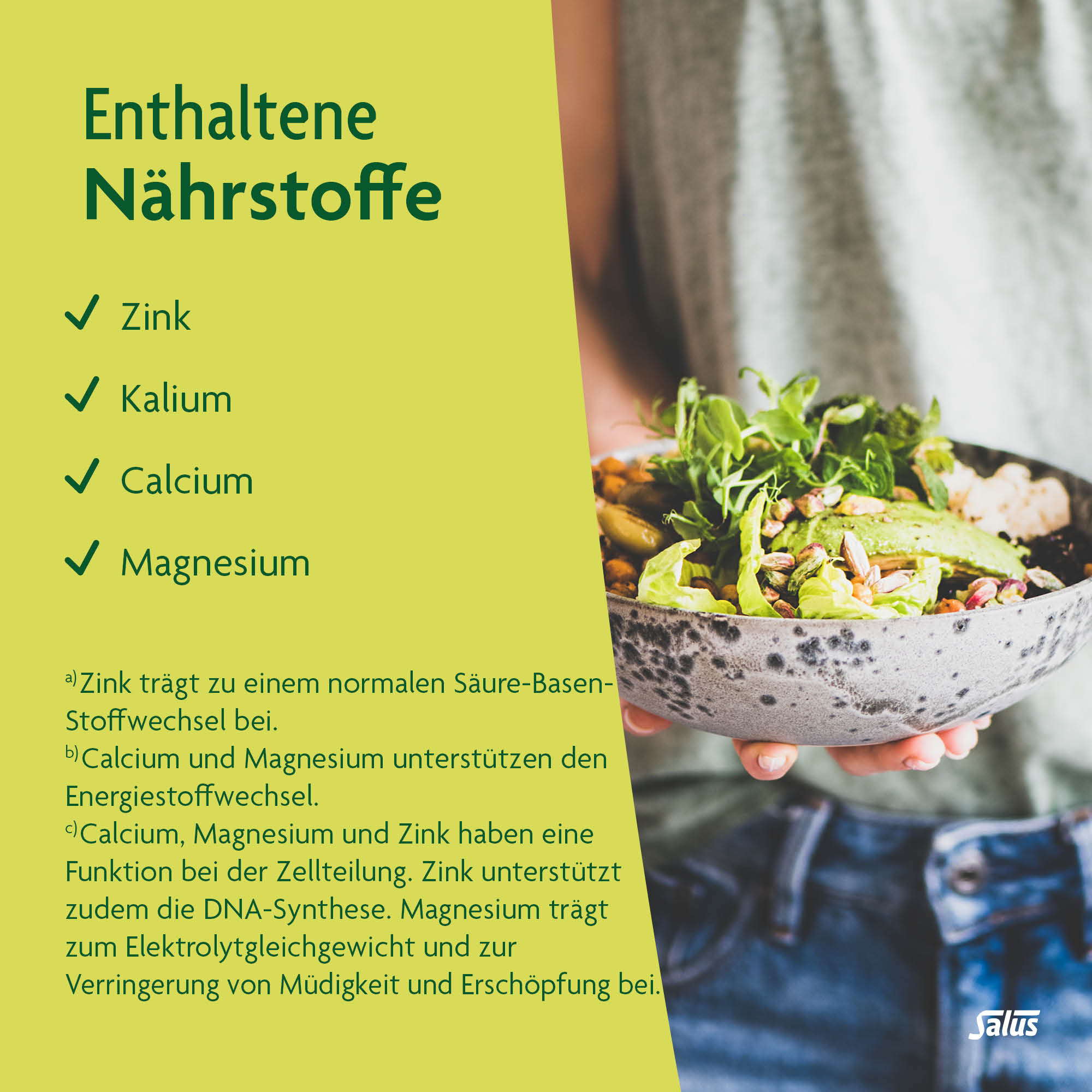 SALUS Basen-Aktiv Mineralstoff-Kräuter, Bild 4 von 6