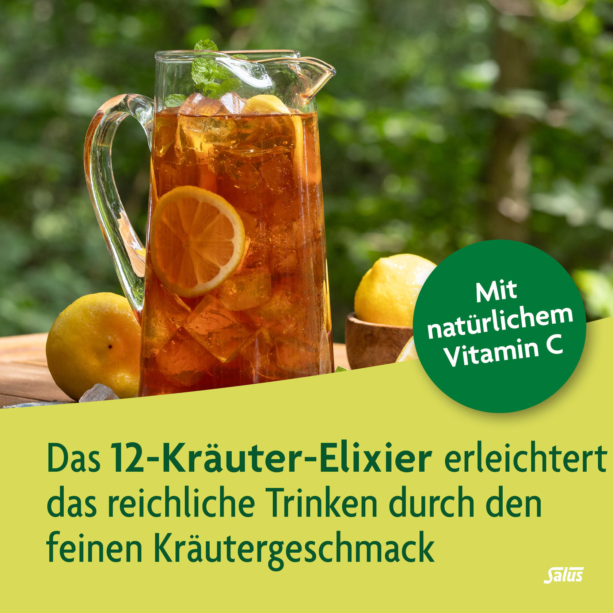 SALUS FreeBalance Löwenzahn-Brennnessel Elixier, Bild 3 von 6