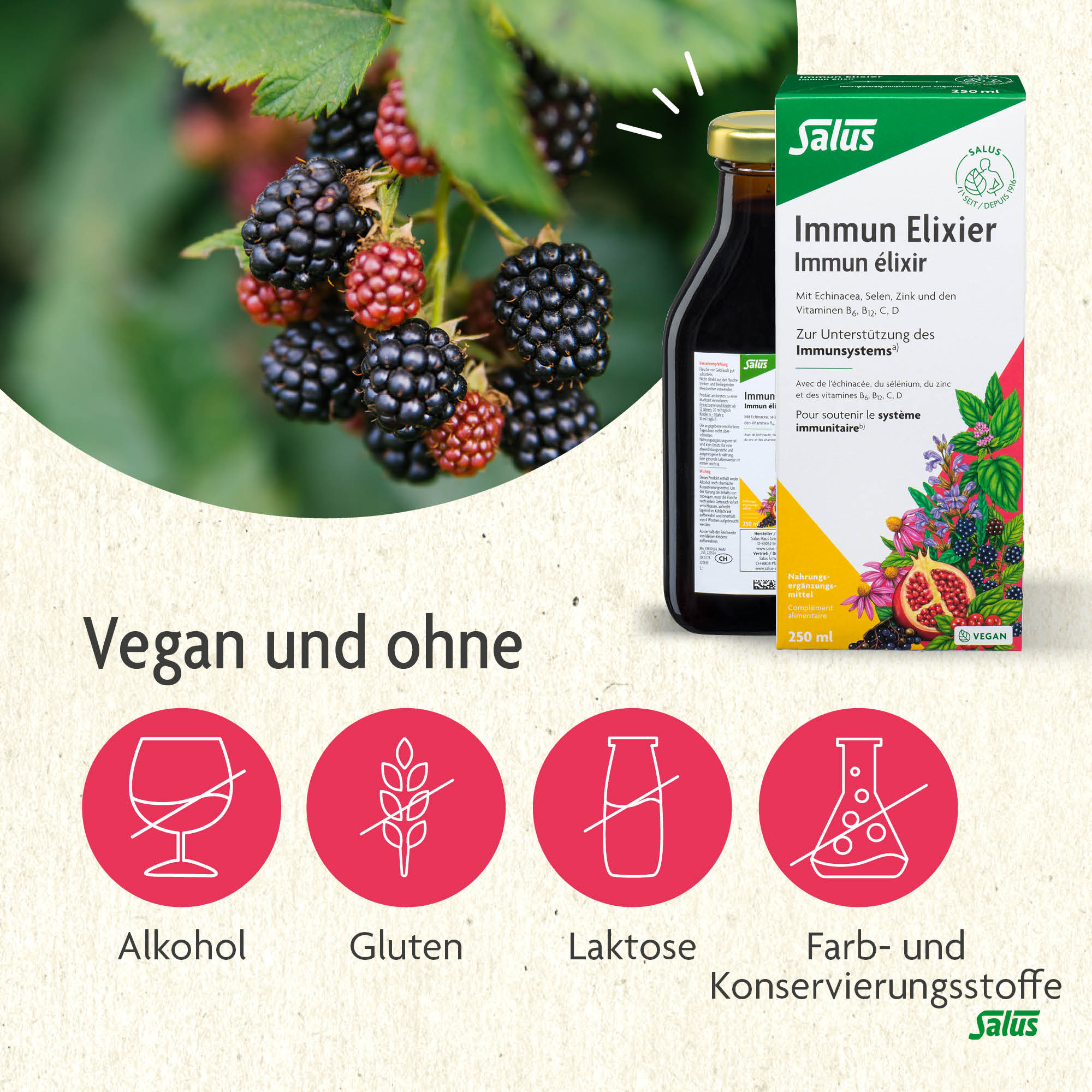 SALUS Immun Elixier mit Echinacea, Bild 4 von 6