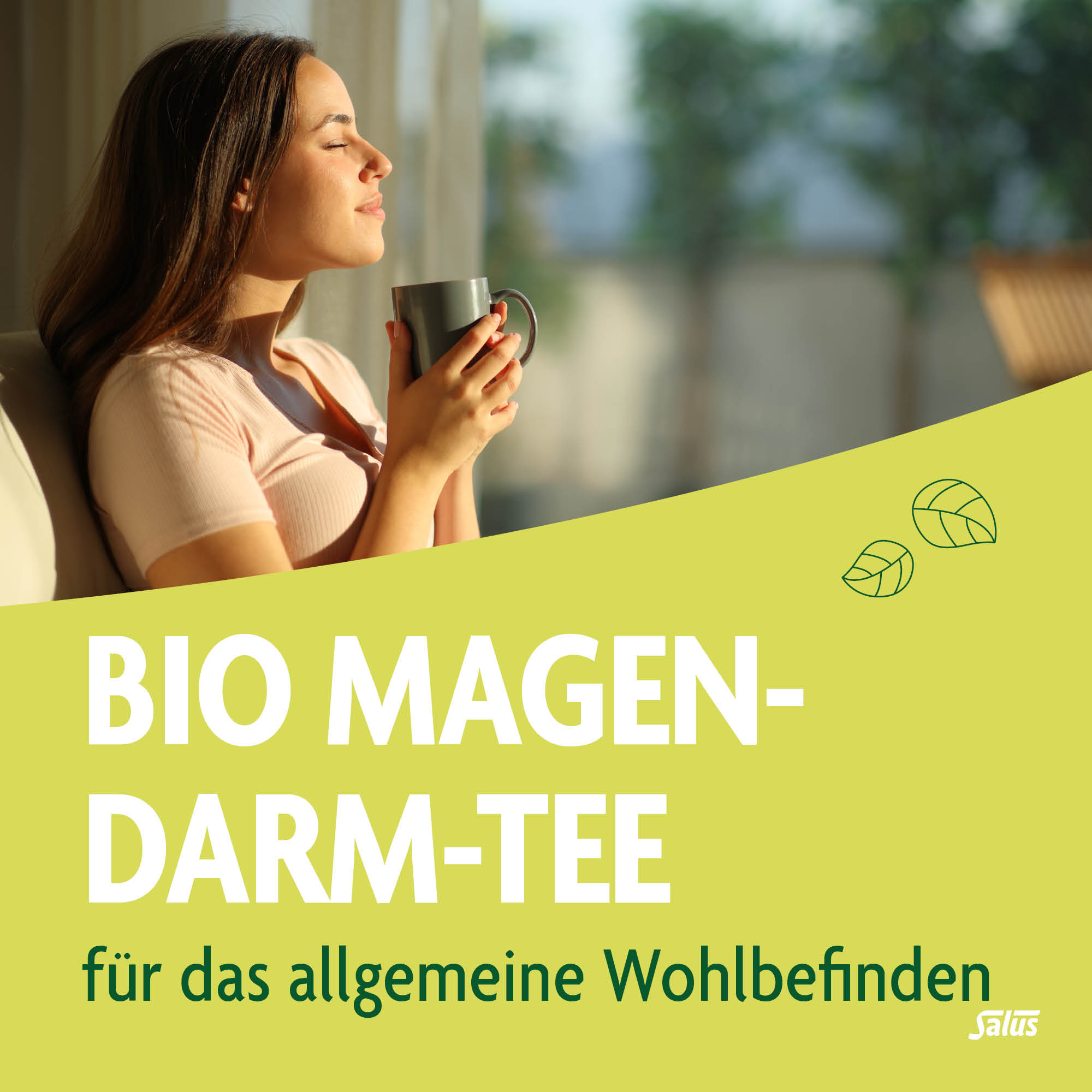 SALUS Magen-Darm-Tee, Bild 2 von 5