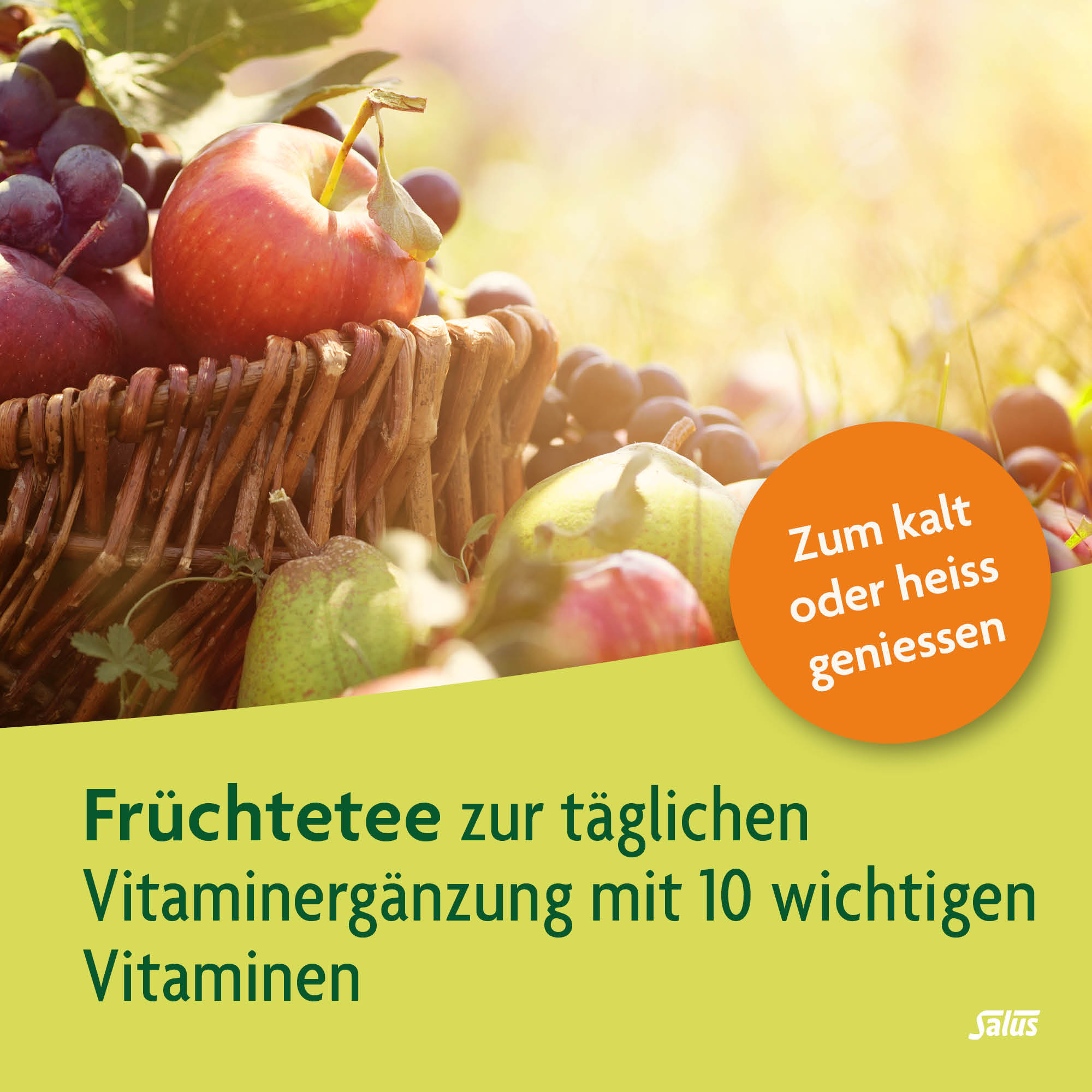 SALUS Multi-Vitamines tisane de fruits, image 3 sur 5