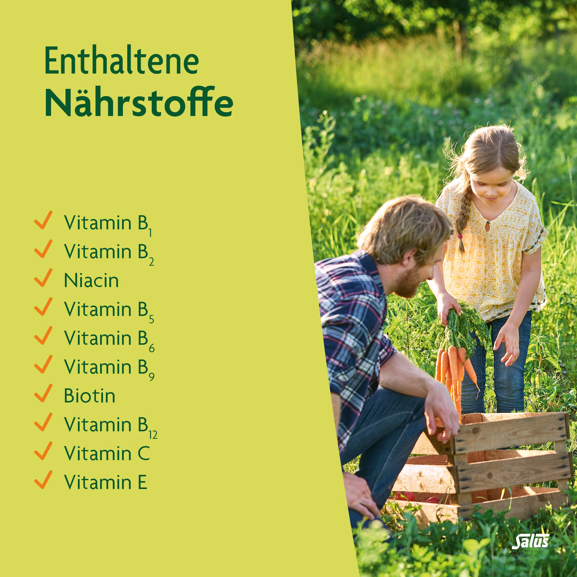 SALUS Multi-Vitamines tisane de fruits, image 4 sur 5