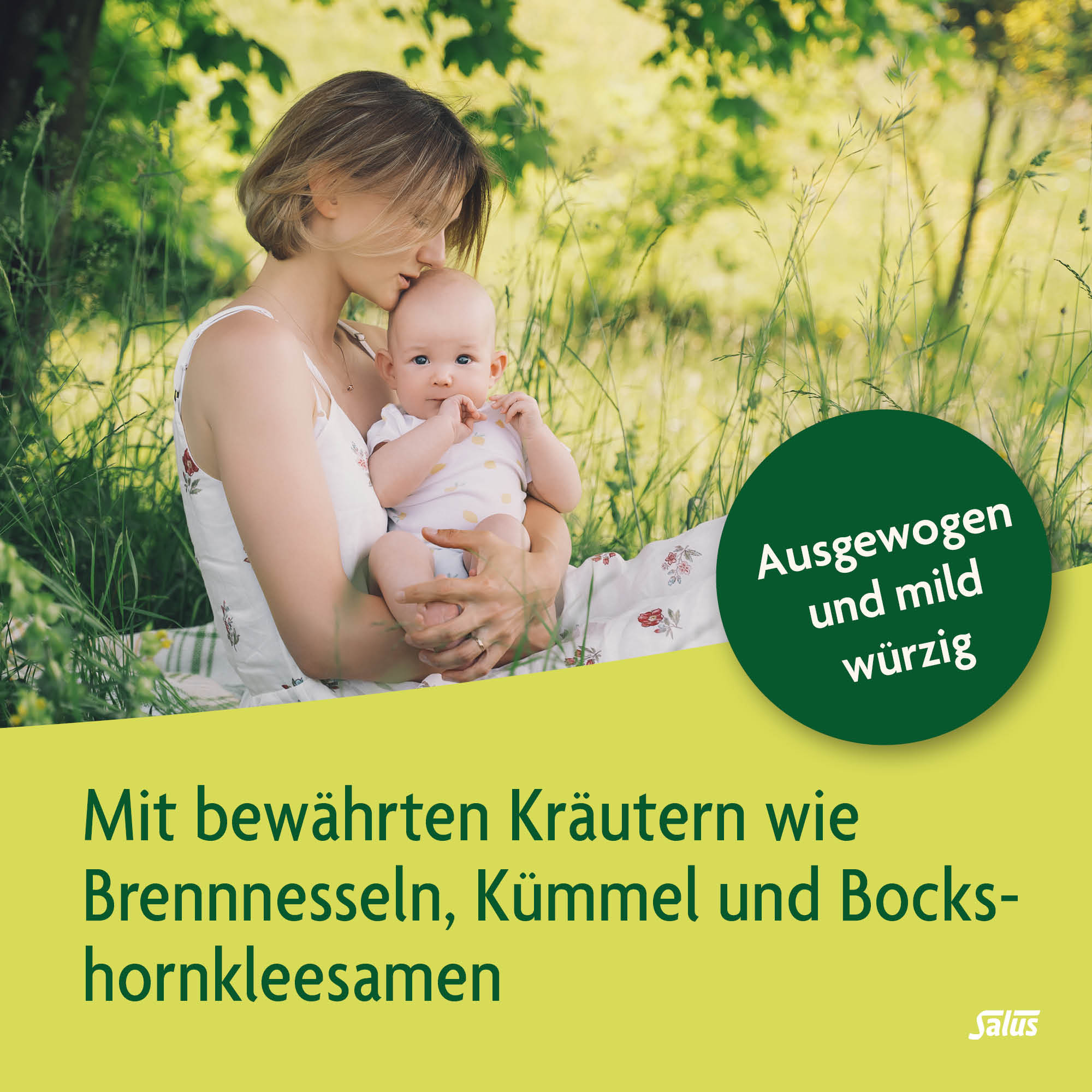 SALUS Stilltee, Bild 3 von 5