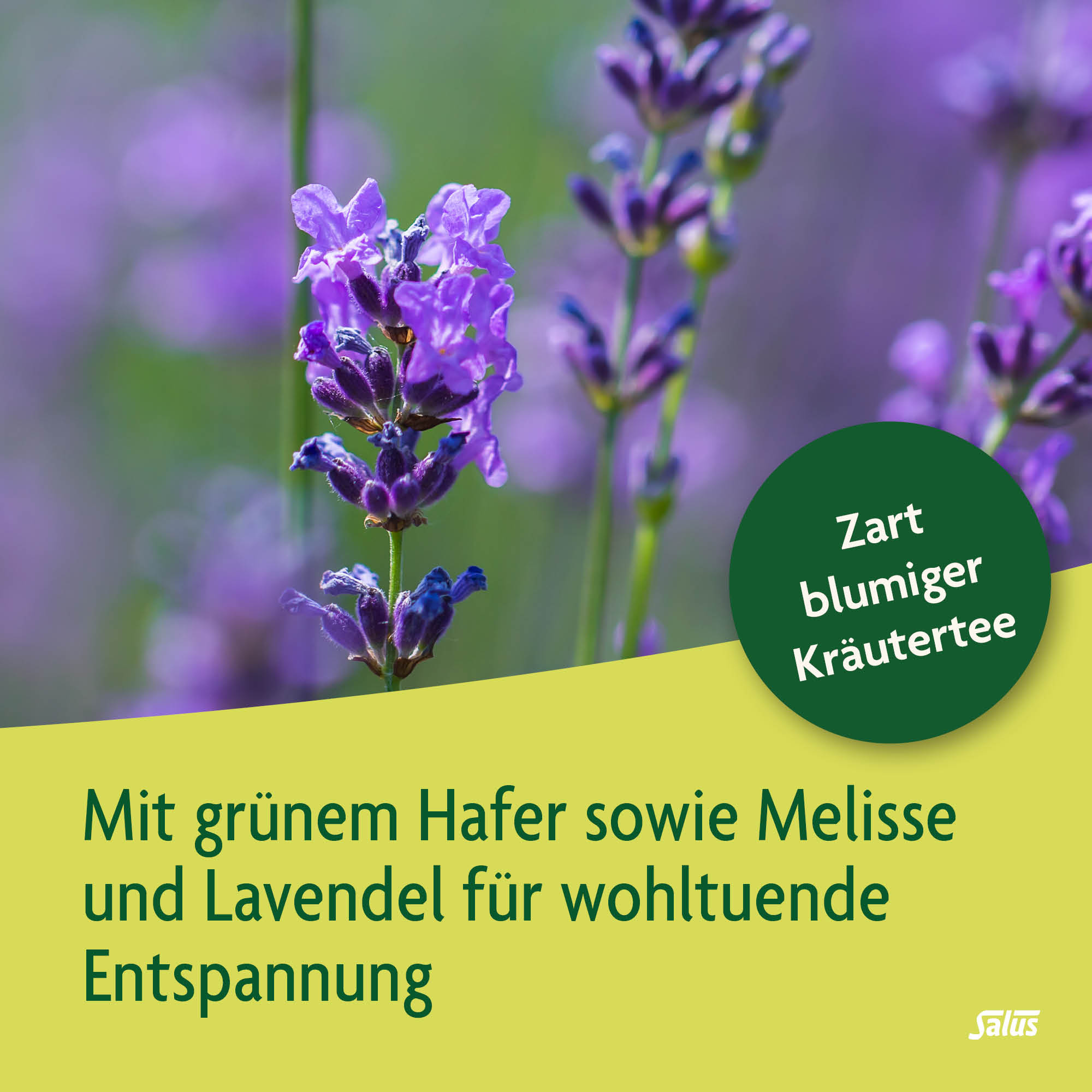 SALUS Tee Kraft der Natur, Bild 3 von 4