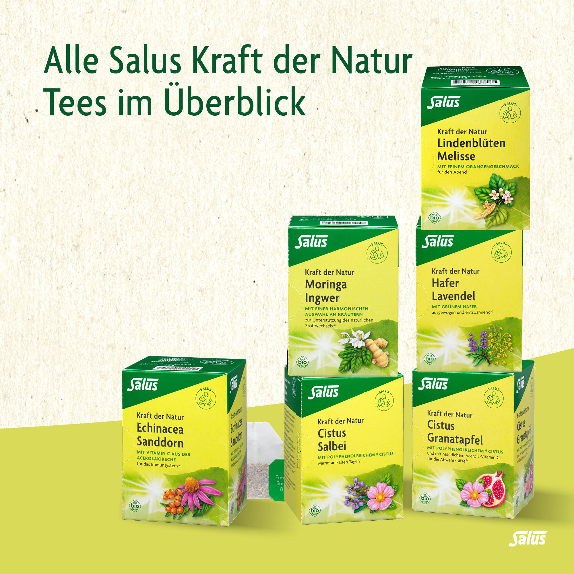 SALUS Tee Kraft der Natur, Bild 4 von 4