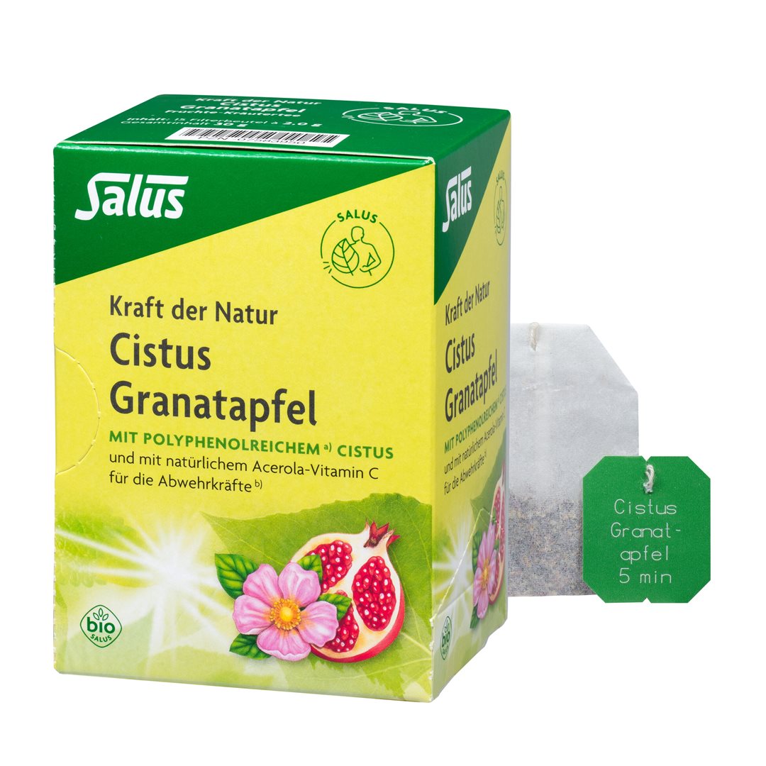 SALUS Tisane force de la nature
