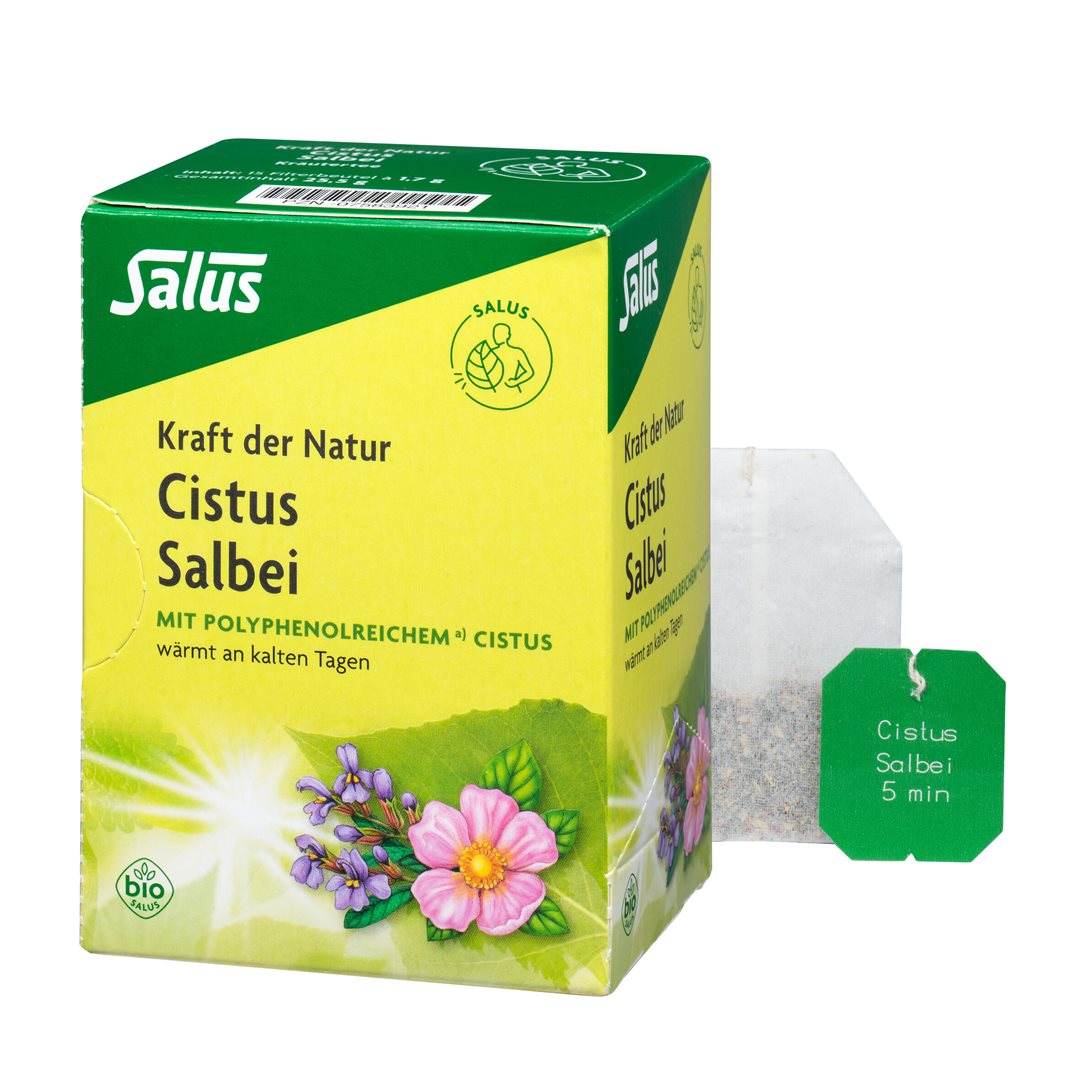 SALUS Tisane force de la nature