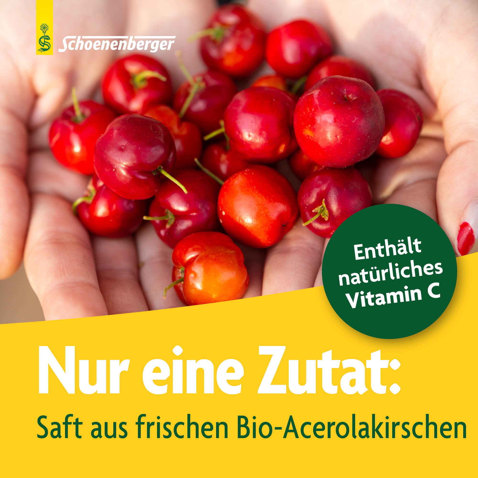 SCHOENENBERGER Acerola aus frischen Früchten, Bild 3 von 6