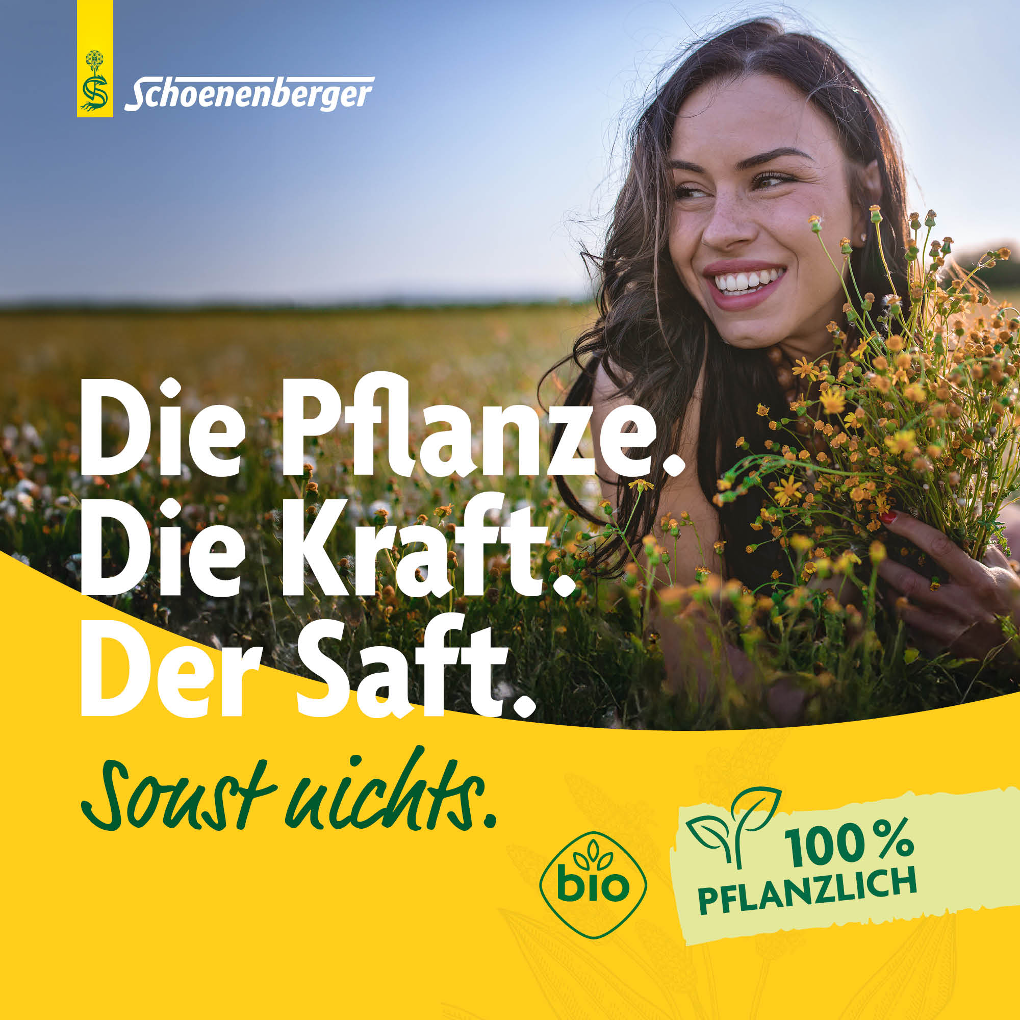 SCHOENENBERGER Artischocken Frischpflanzensaft, Bild 2 von 6