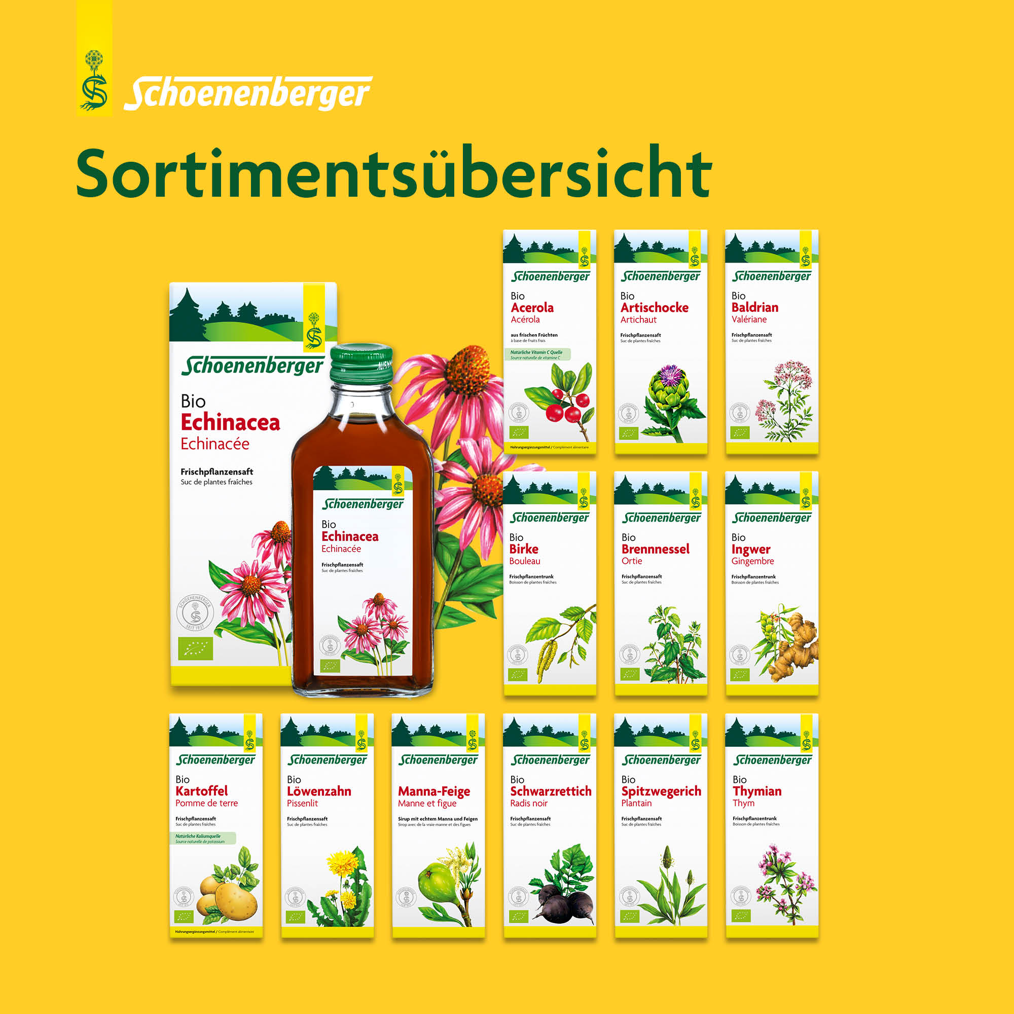 SCHOENENBERGER Birke Frischpflanzentrunk, Bild 5 von 6