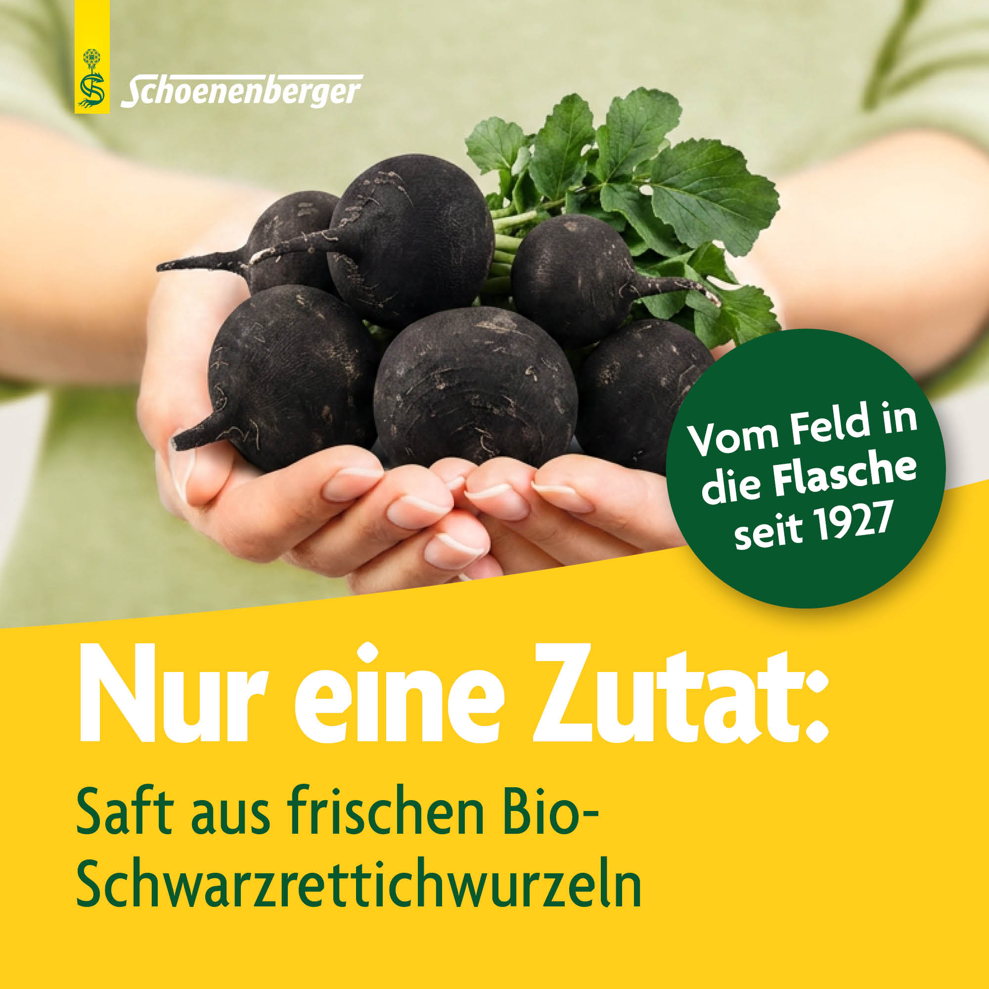 SCHOENENBERGER Schwarzrettich Frischpflanzensaft, Bild 3 von 6