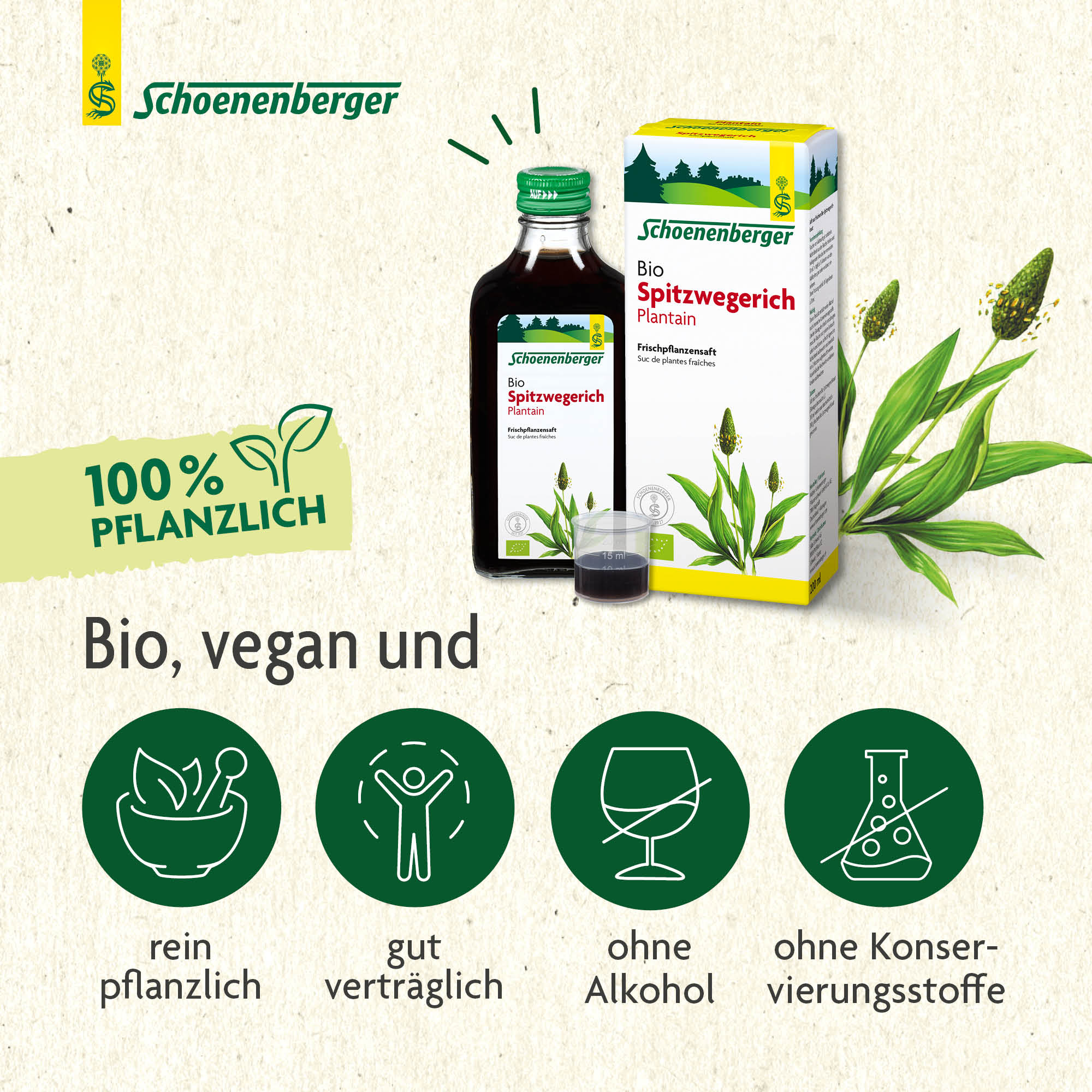 SCHOENENBERGER Spitzwegerich Frischpflanzensaft, Bild 4 von 6