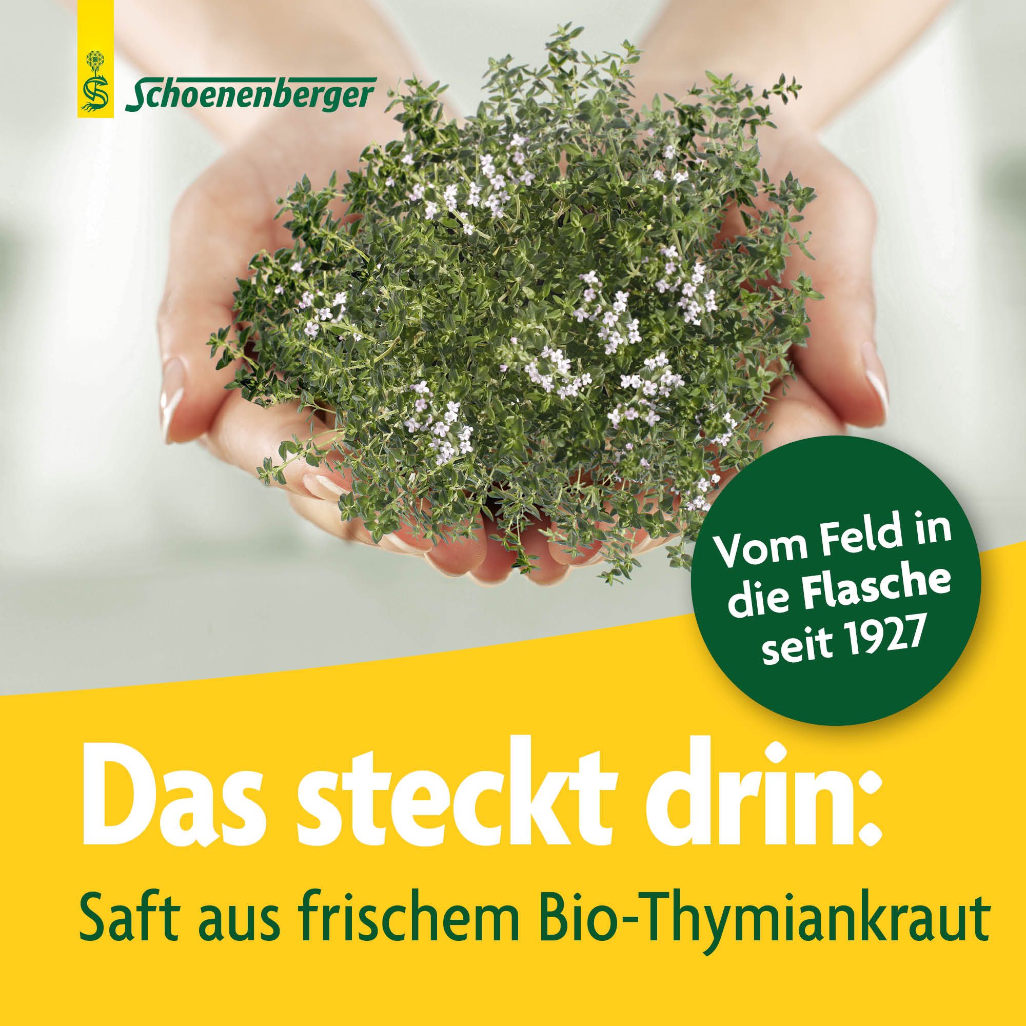 SCHOENENBERGER Thym boisson de plantes fraîches, image 3 sur 6