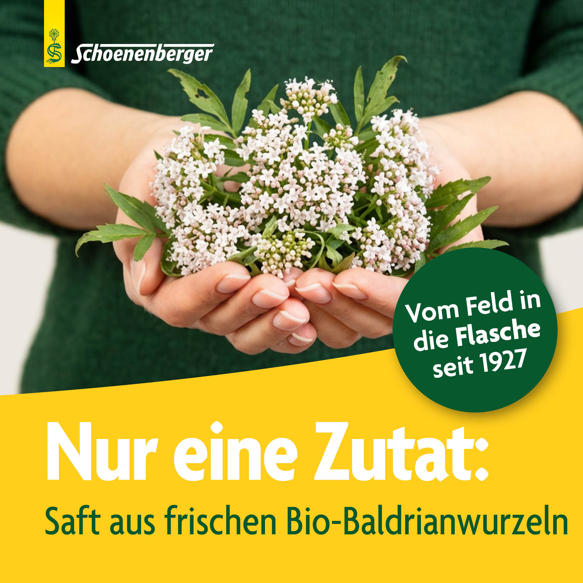 SCHOENENBERGER Valériane suc de plantes fraîches, image 3 sur 6