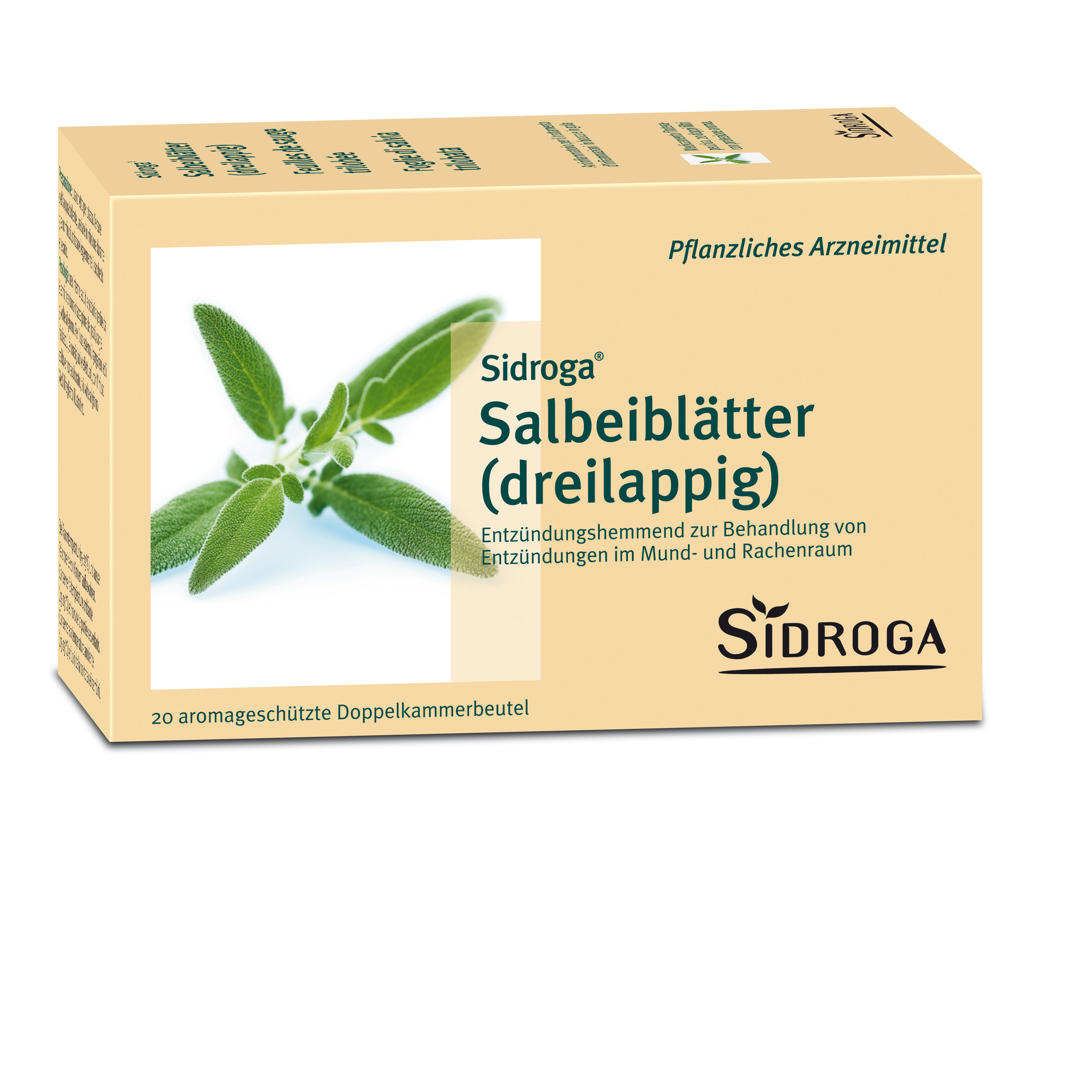 Sidroga feuilles de sauge trilobée, image principale