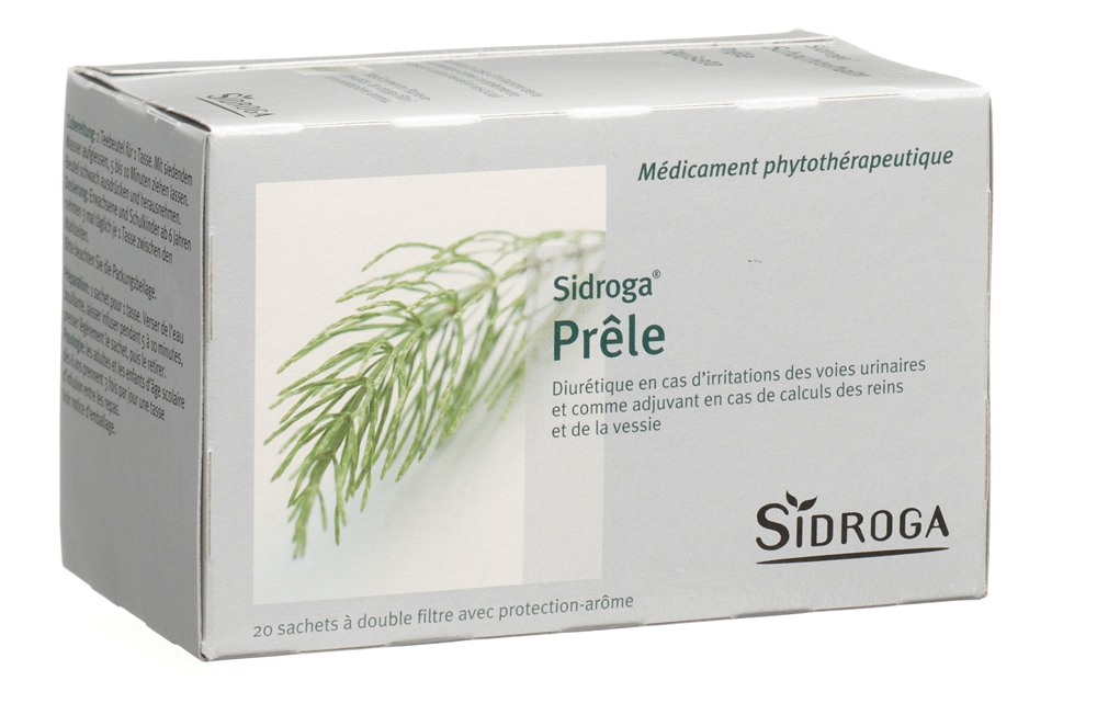 Sidroga prêle, image 2 sur 2