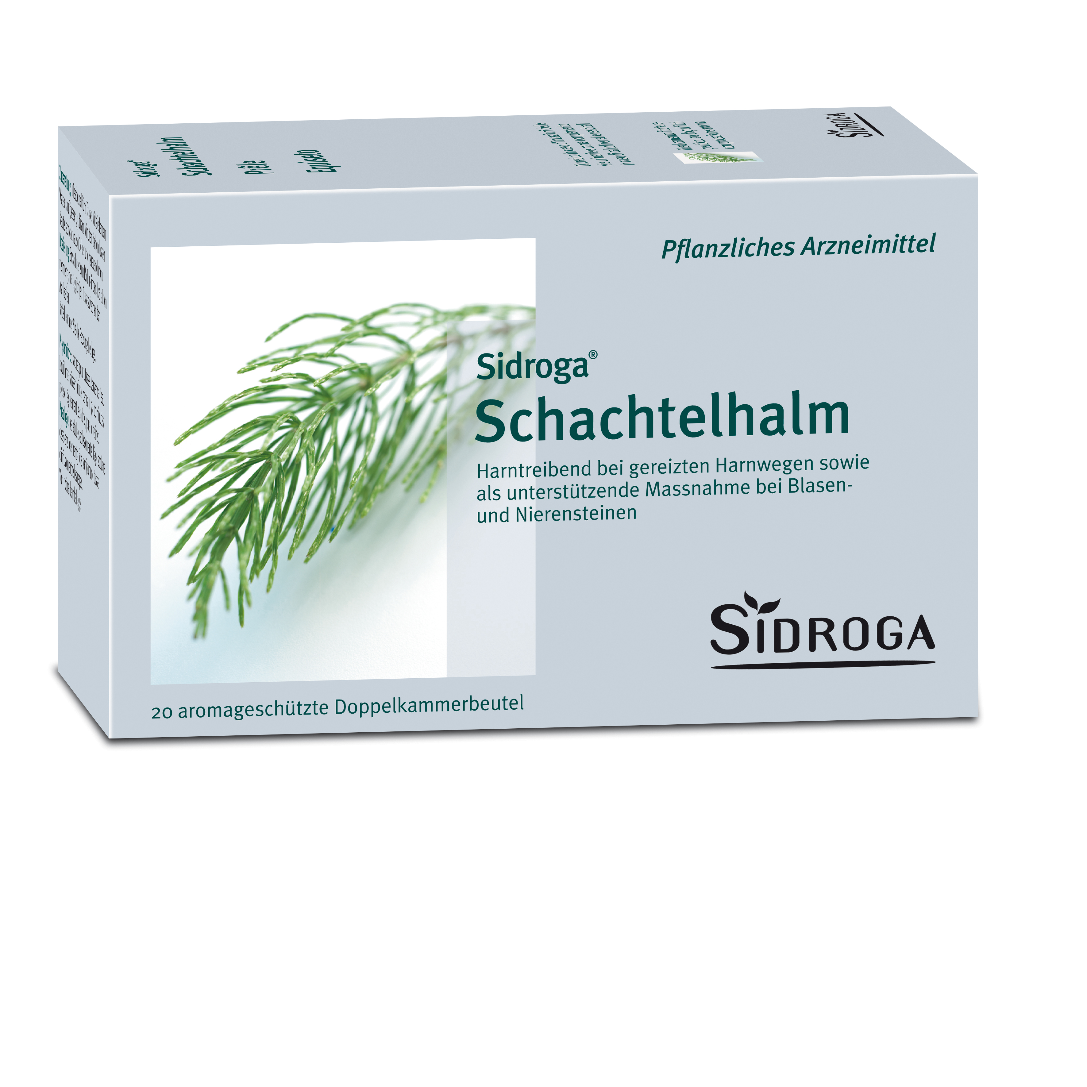 Sidroga Schachtelhalm