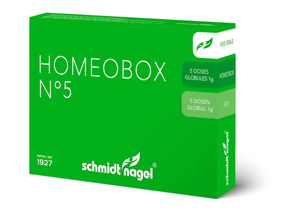 SCHMIDT-NAGEL HomeoBox 5, Hauptbild