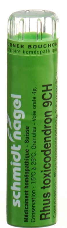 SCHMIDT-NAGEL Rhus Toxicodendron 9 CH, Hauptbild