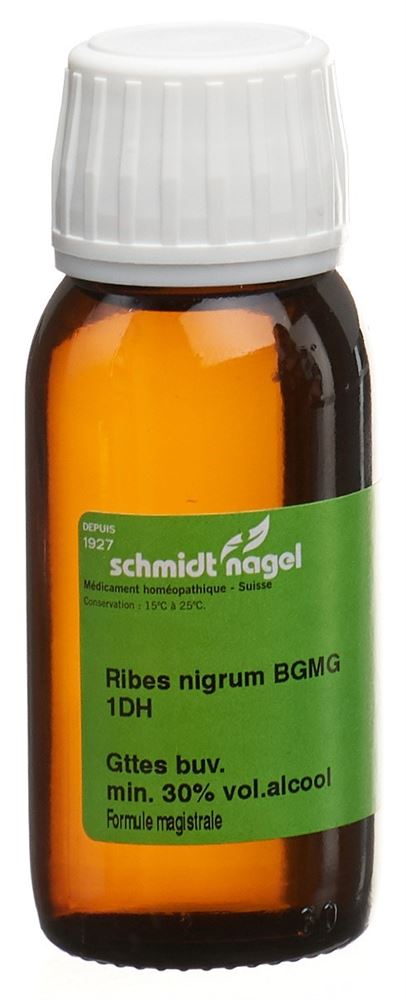 SCHMIDT-NAGEL ribes nigrum BG 1 DH