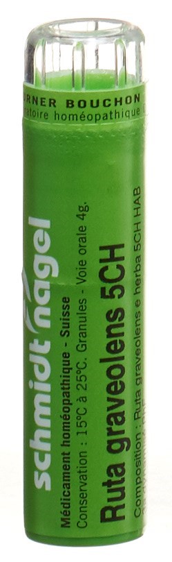 SCHMIDT-NAGEL Ruta graveolens 5 CH, Hauptbild